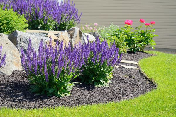 Landscape Planting Service in Green Bay