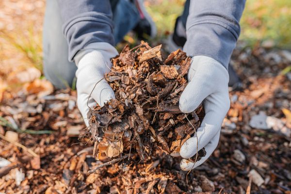 Shredded Mulch Installation in Green Bay