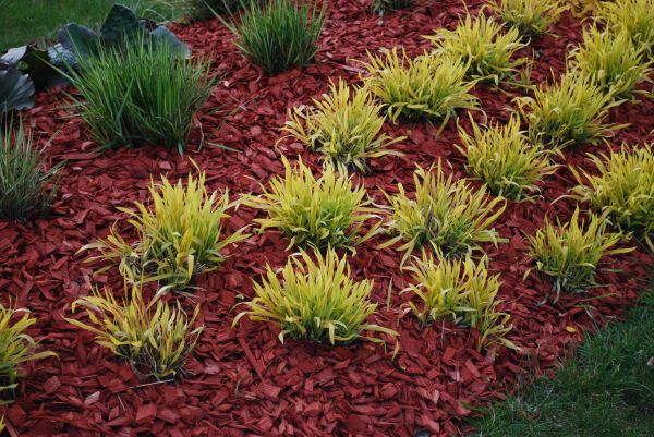 Red Mulch Installation in Green Bay