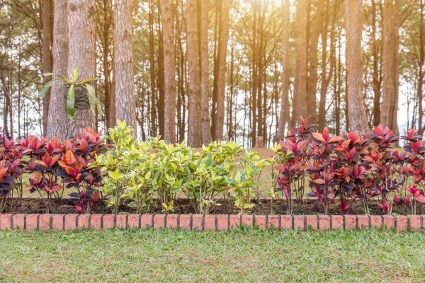 Small Garden Landscaping in Green Bay