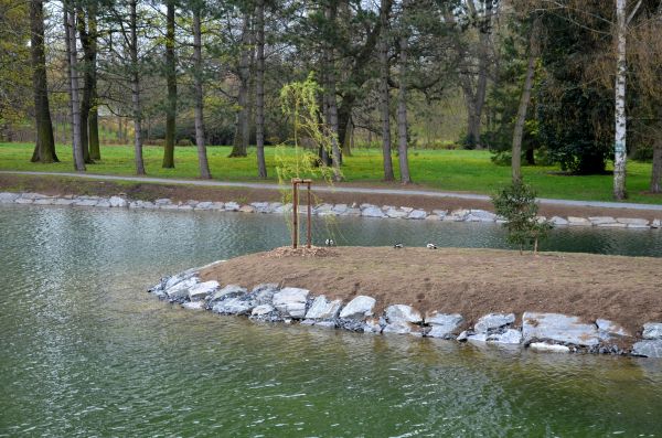 Pond Landscaping Service in Green Bay