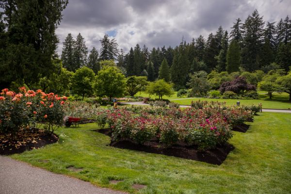 Flower Garden Landscaping in Green Bay