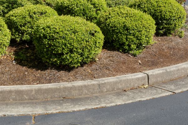 Pine Mulch Installation in Green Bay