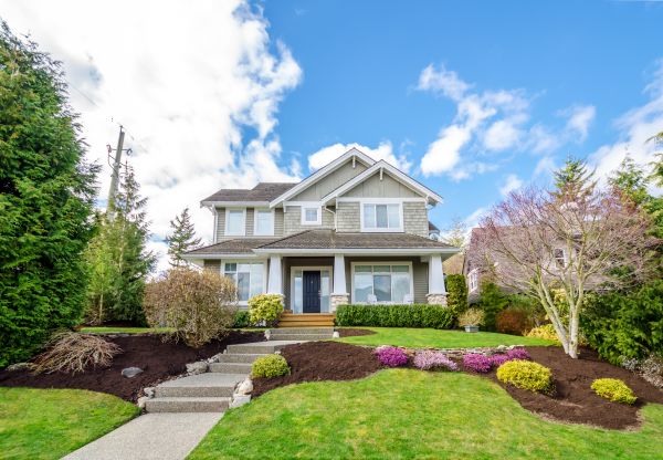 Landscaping Replacement in Green Bay
