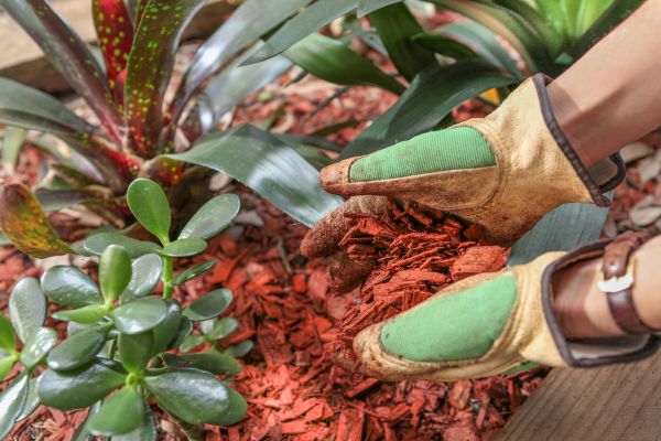 Residential Mulching in Green Bay