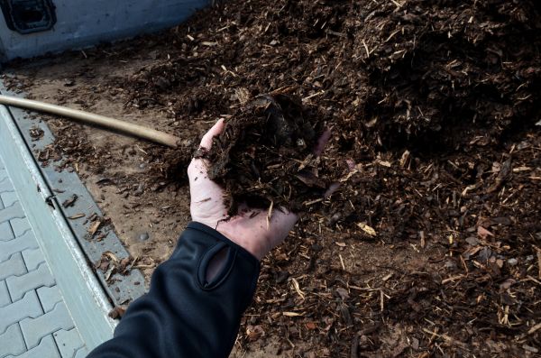 Condo Mulching in Green Bay