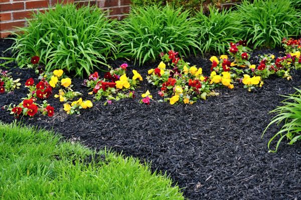Apartment Mulching in Green Bay